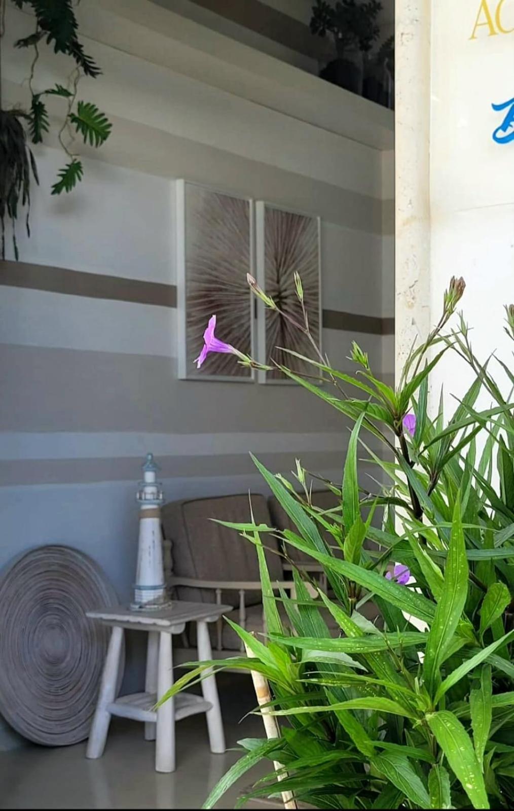 דונלוקאטה Hotel Acquamarina מראה חיצוני תמונה
